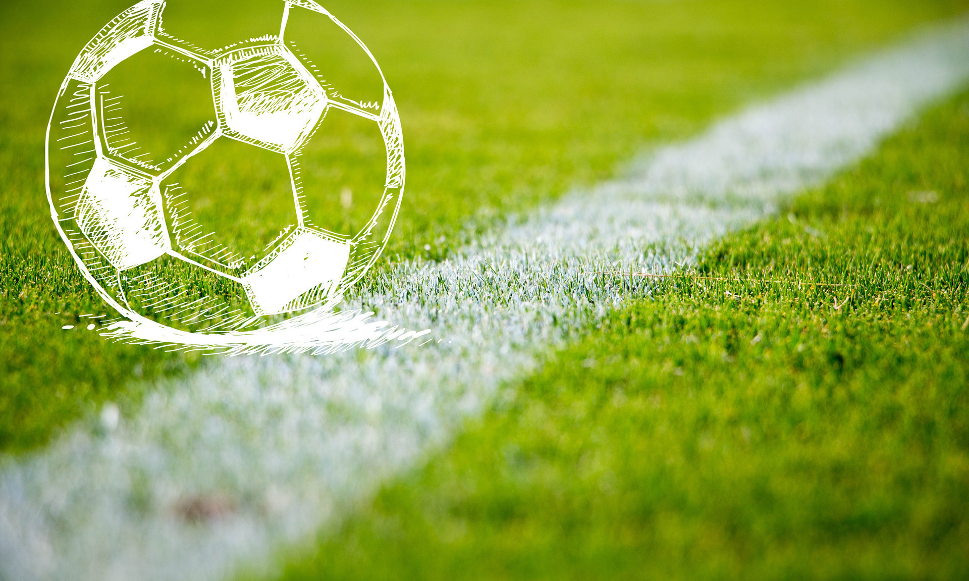 高效的球场 高效的球场